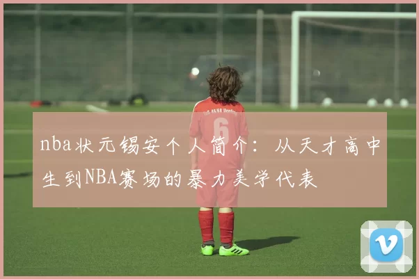nba状元锡安个人简介：从天才高中生到NBA赛场的暴力美学代表